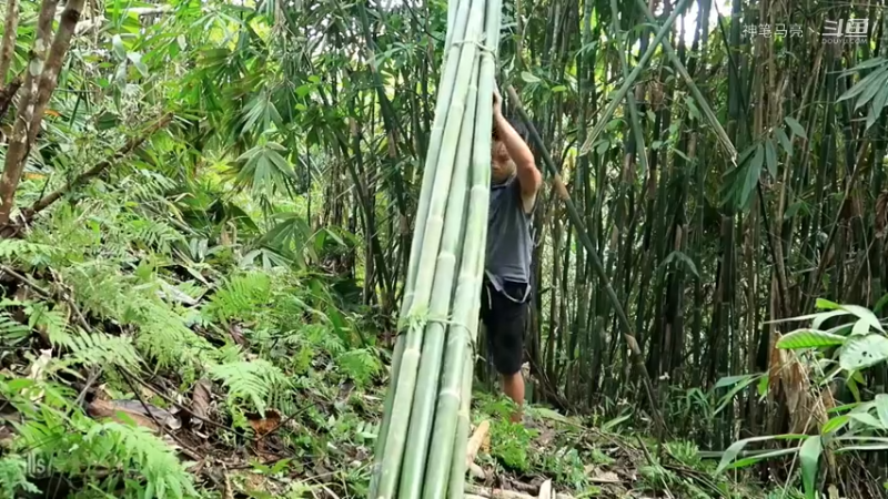 放下第一个基地：03(11)制作竹小屋【真人我的世界-空手发展-铁器时代】