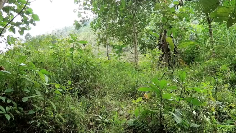 放下第一个基地：01(1)准备材料【真人我的世界-空手发展-铁器时代】