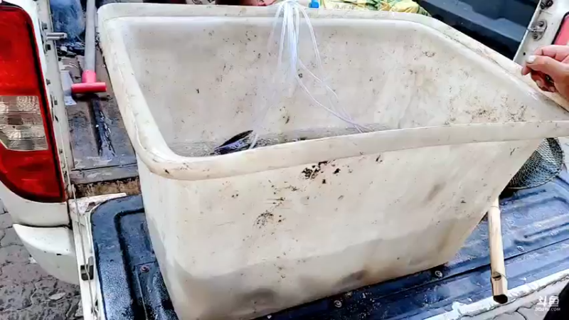 【2021-09-05 16点场】洪湖小肖：继续盘下一个水库！！！