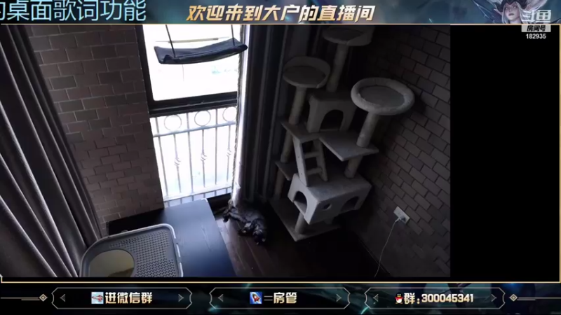 【2021-08-28 09点场】大户呀：玩辅助打游戏要开心哦