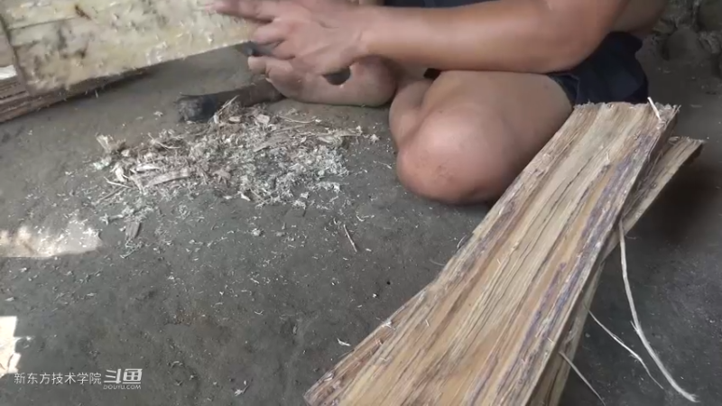 第二季S11P18邮箱？鸽子笼6荒野园林艺术家点个关注吧喜欢素质三连