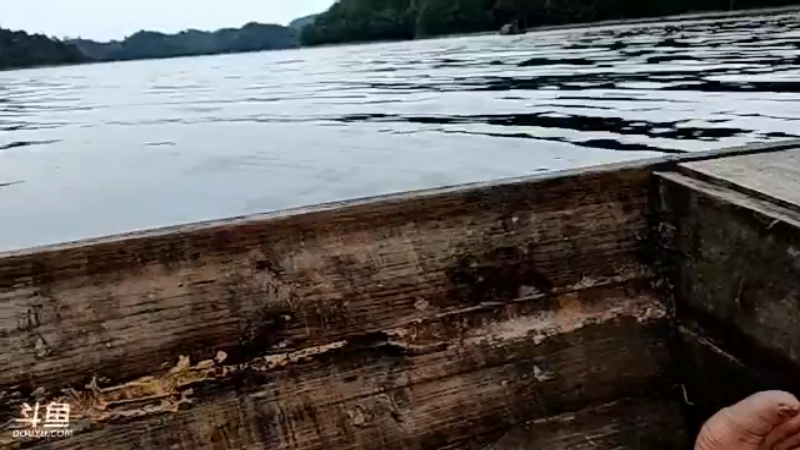 【2021-09-05 06点场】魅力生活i：老二接盘30条翘嘴可以完成嘛？