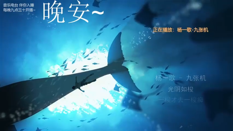 【2021-09-05 05点场】杨一歌：杨一歌：跟我走，去炸鱼11258