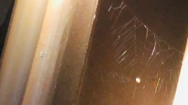 2021-09-05 16点场 队里没胡桃玩宁红夜