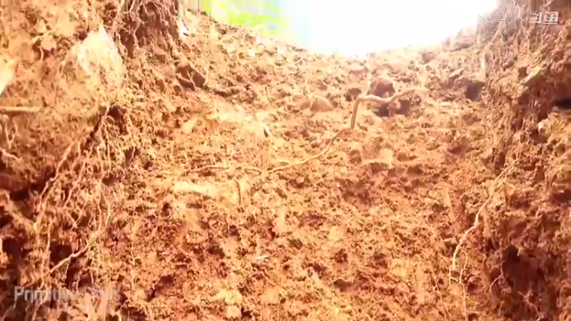 放下第一个基地：04(6)农耕织田【真人我的世界-空手发展-铁器时代】