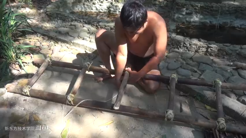第二季S11P18邮箱？鸽子笼14荒野园林艺术家点个关注吧喜欢素质三连