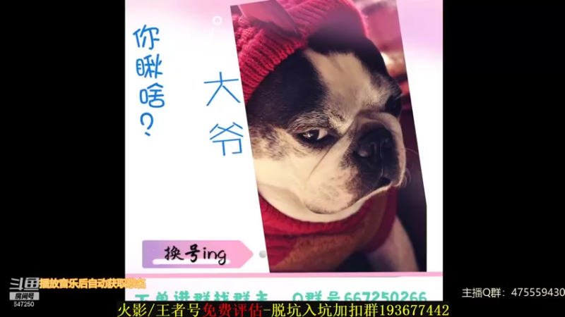 【2021-09-04 22点场】小马锅马杰：9月希望努力都会有结果。