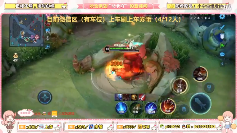 野王北带你飞