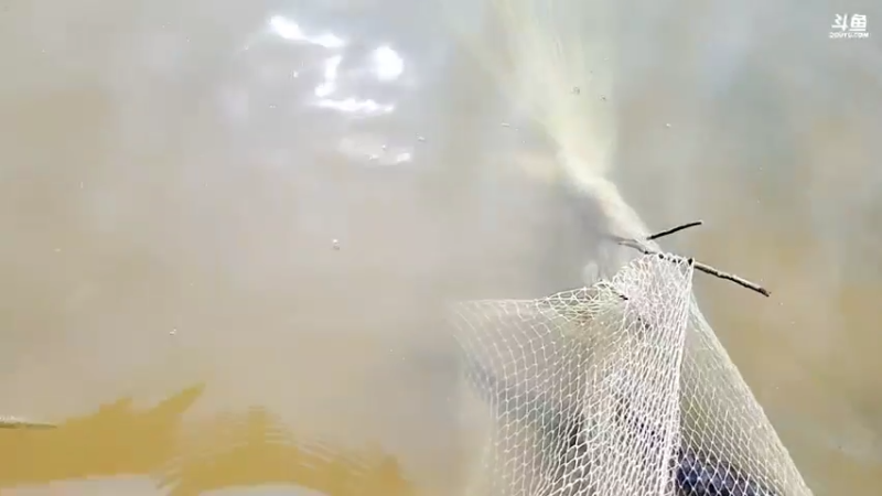 【2021-09-05 14点场】洪湖小肖：继续盘下一个水库！！！