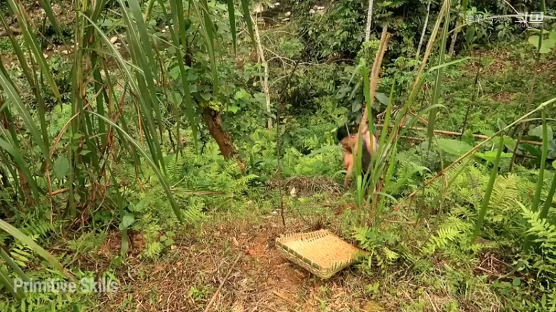 放下第一个基地：04(7)农耕织田【真人我的世界-空手发展-铁器时代】