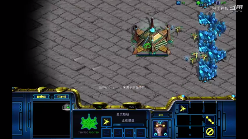 天梯pvz飞龙稍的很厉害2021-09-05