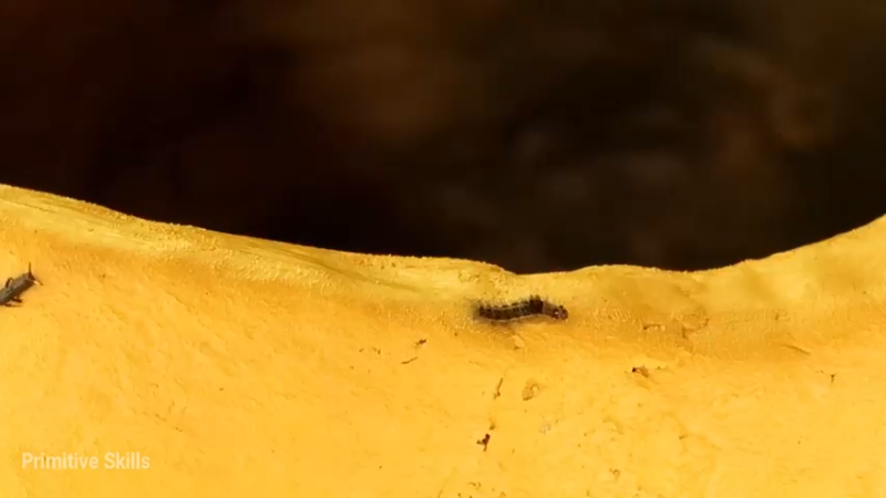 精剪回顾1号基地15黏土炉具9【真人我的世界-空手发展-单人炼铁】