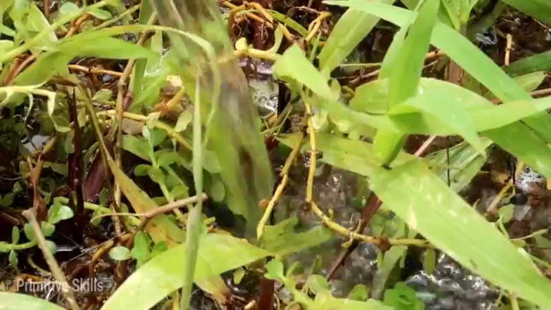 精剪回顾1号基地21育苗池11【真人我的世界-空手发展-单人炼铁】