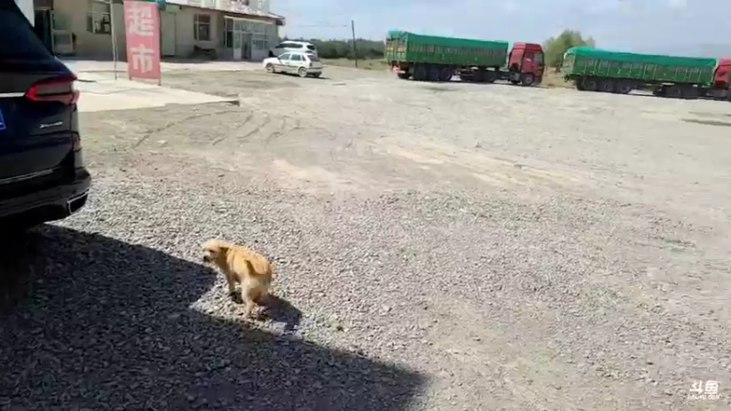 【2021-09-06 14点场】蓝战非OvO：出发日月山，青海湖，盐湖