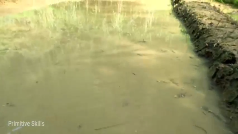 精剪回顾1号基地22水稻种植6【传统技术-真人我的世界-空手发展-单人炼铁】