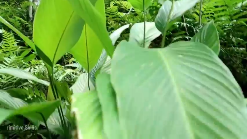 精剪回顾1号基地17培训种子3【真人我的世界-空手发展-单人炼铁】