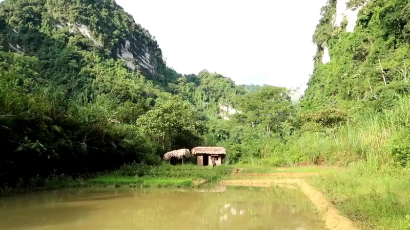 精剪回顾1号基地22水稻种植1【传统技术-真人我的世界-空手发展-单人炼铁】