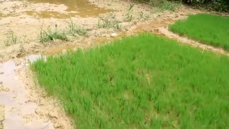 精剪回顾1号基地20鱼塘初期6【真人我的世界-空手发展-单人炼铁】