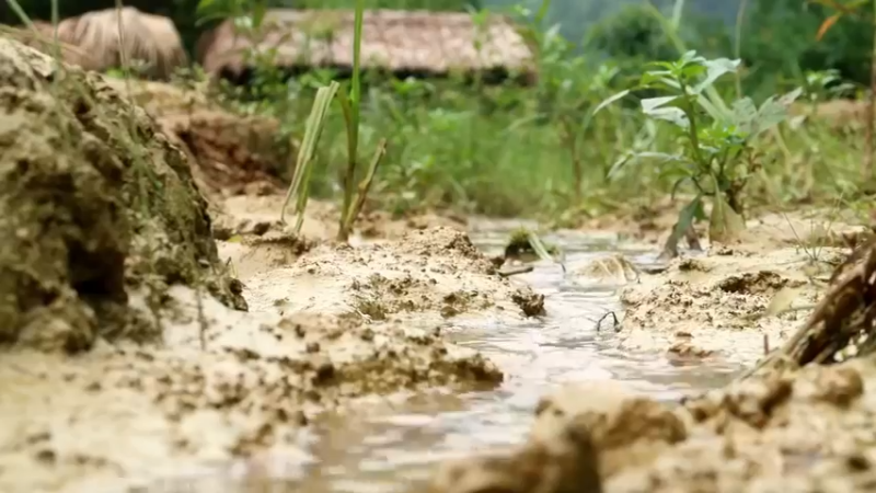精剪回顾1号基地19搭建鱼塘1【真人我的世界-空手发展-单人炼铁】
