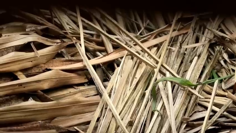 精剪回顾1号基地10竹制捕获篓1【真人我的世界-空手发展-单人炼铁】