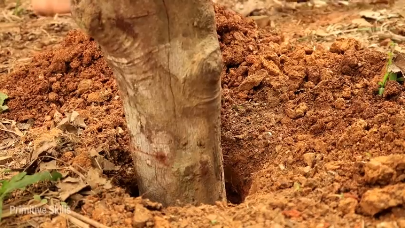 精剪回顾1号基地E08棕榈叶棚7【真人我的世界-空手发展-单人炼铁】