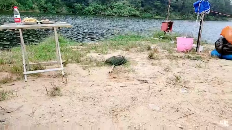 【2021-09-06 10点场】洪湖小肖：今天怼坑！！！