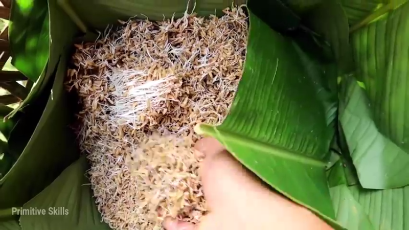 精剪回顾1号基地18育苗9【真人我的世界-空手发展-单人炼铁】