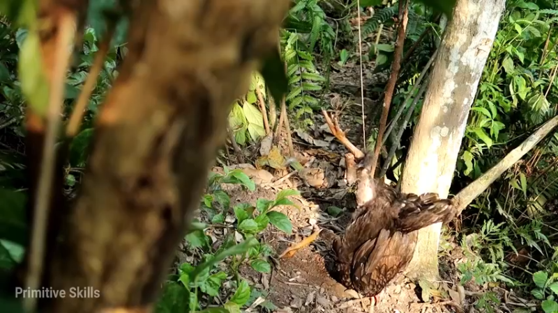 精剪回顾1号基地24打野吃吃吃8【传统技术-真人我的世界-空手发展-单人炼铁】