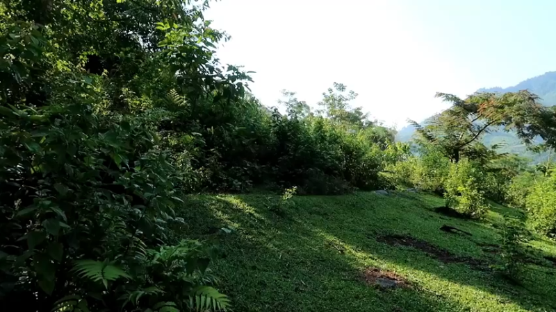 精剪回顾1号基地24打野吃吃吃1【传统技术-真人我的世界-空手发展-单人炼铁】