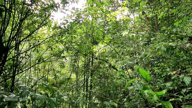 精剪回顾1号基地10竹制捕获篓3【真人我的世界-空手发展-单人炼铁】