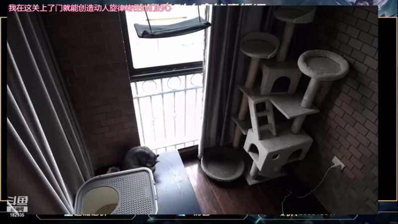 【2021-09-06 09点场】大户呀：你懂不懂辅助啊！