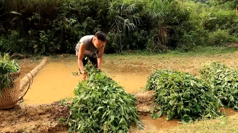 精剪回顾1号基地09腐熟有机肥13【真人我的世界-空手发展-单人炼铁】