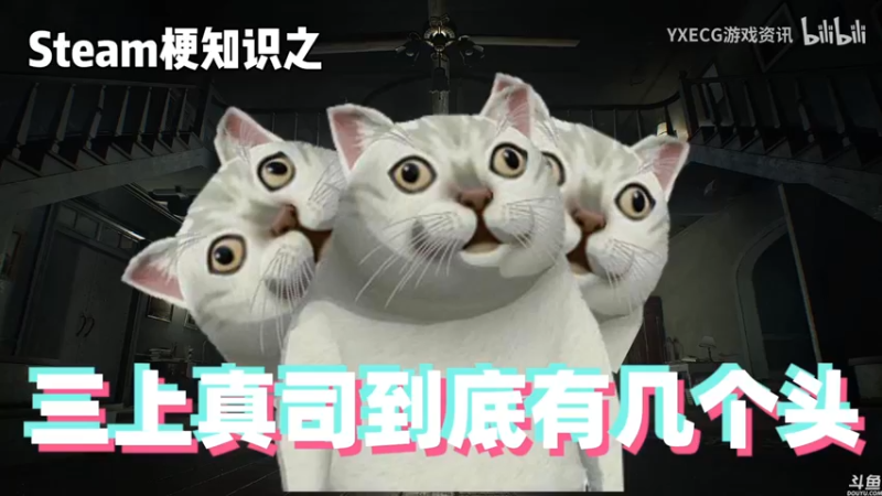 【2021-09-05 23点场】猫叔灬灬：【猫叔】 大型中年养老直播间 47378