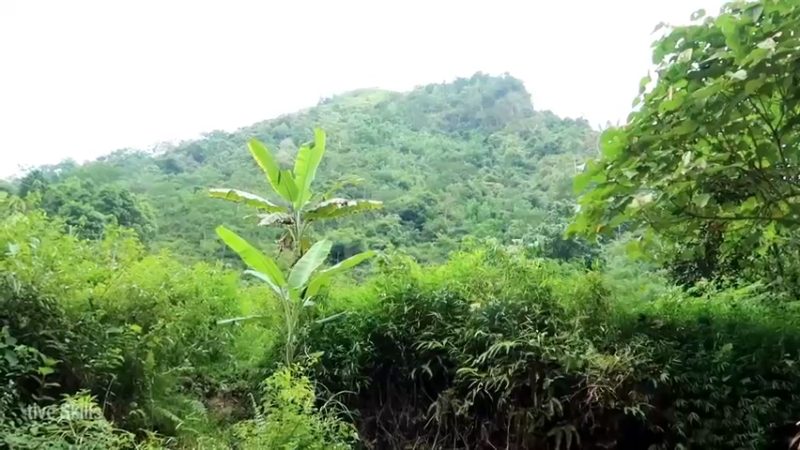 精剪回顾1号基地20鱼塘初期5【真人我的世界-空手发展-单人炼铁】