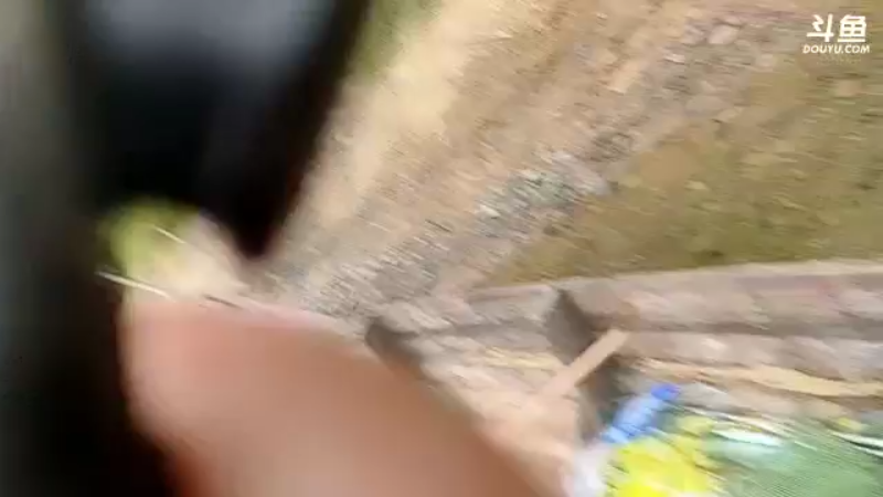 【2021-09-06 12点场】魅力生活i：放鳜鱼钓找土蜂