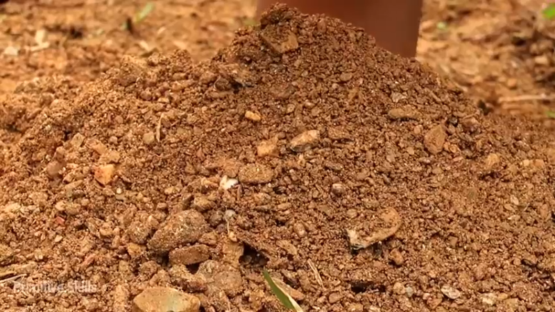 精剪回顾1号基地E08棕榈叶棚6【真人我的世界-空手发展-单人炼铁】