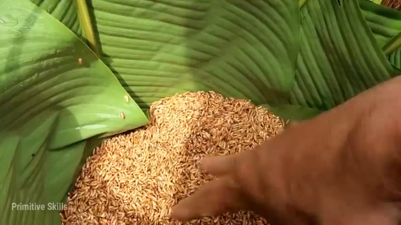 精剪回顾1号基地18育苗6【真人我的世界-空手发展-单人炼铁】