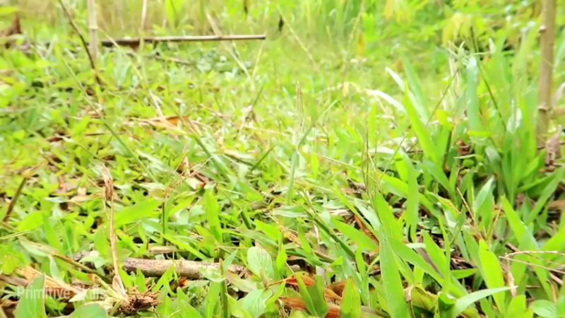 精剪回顾1号基地21育苗池9【真人我的世界-空手发展-单人炼铁】