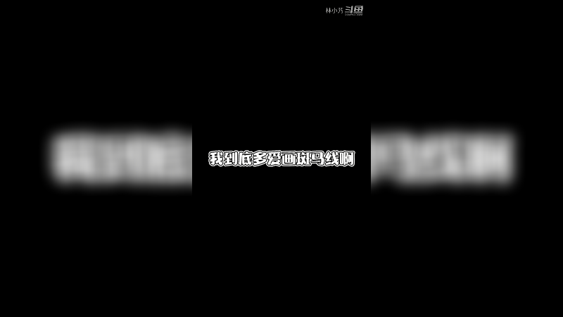 到底有多爱画斑马线啊