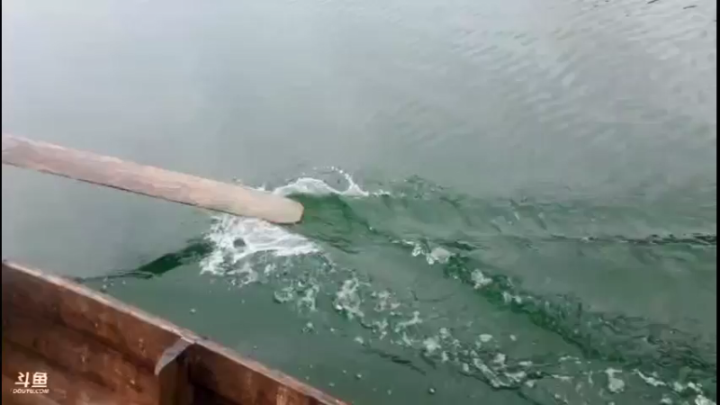 【2021-09-06 15点场】魅力生活i：找到土蜂晚上开挖