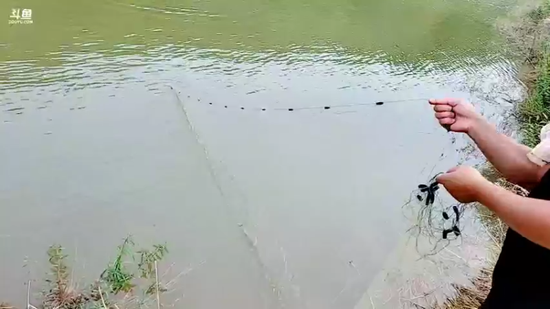 【2021-09-06 16点场】洪湖小肖：今天怼坑！！！