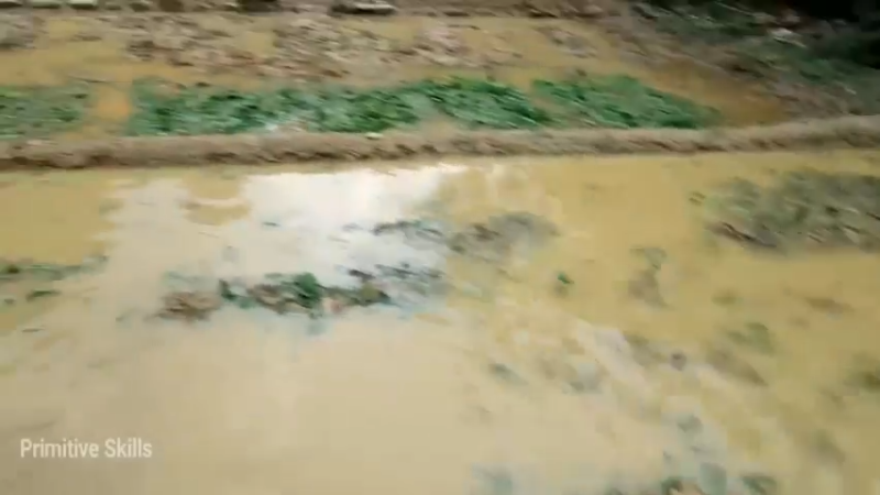 精剪回顾1号基地09腐熟有机肥15【真人我的世界-空手发展-单人炼铁】