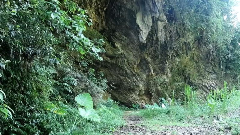 精剪回顾1号基地16簸箕与种子1【真人我的世界-空手发展-单人炼铁】