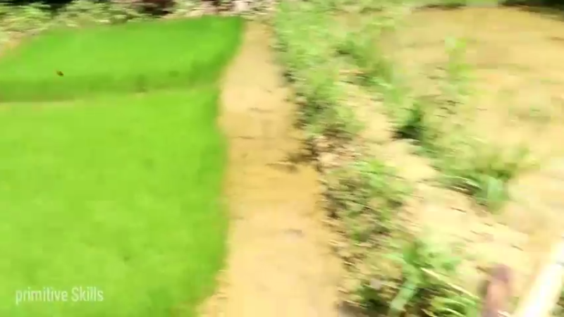 精剪回顾1号基地23农家水田12【传统技术-真人我的世界-空手发展-单人炼铁】