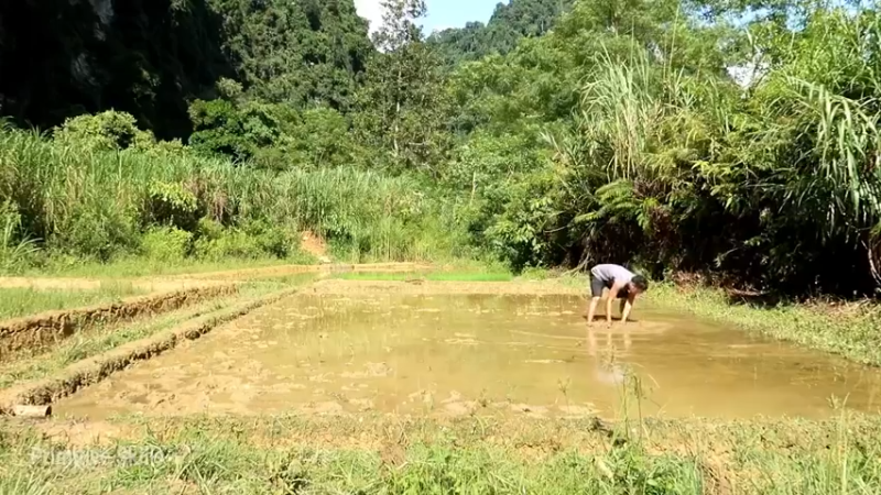 精剪回顾1号基地22水稻种植4【传统技术-真人我的世界-空手发展-单人炼铁】