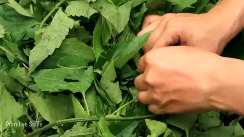 精剪回顾1号基地09腐熟有机肥10【真人我的世界-空手发展-单人炼铁】