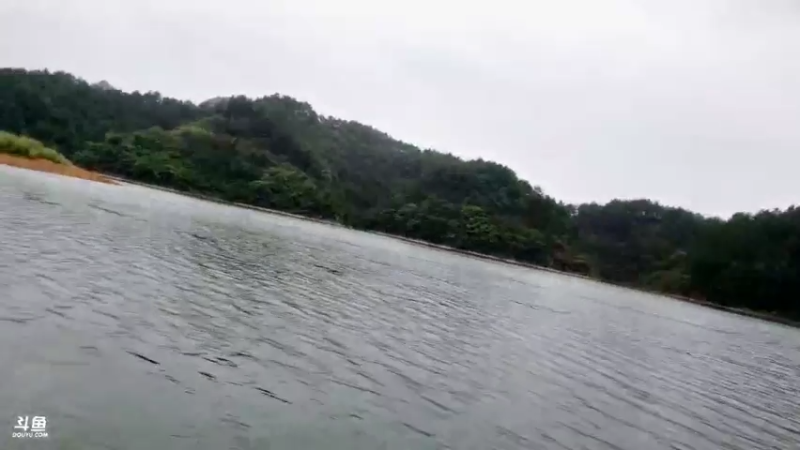 【2021-09-06 12点场】魅力生活i：放鳜鱼钓找土蜂