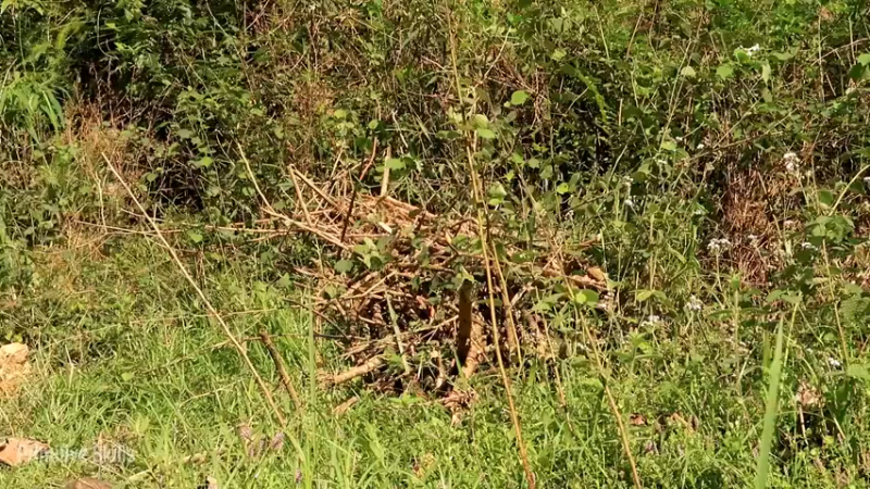 精剪回顾1号基地：07开垦水稻田(2)【真人我的世界-空手发展-铁器时代】