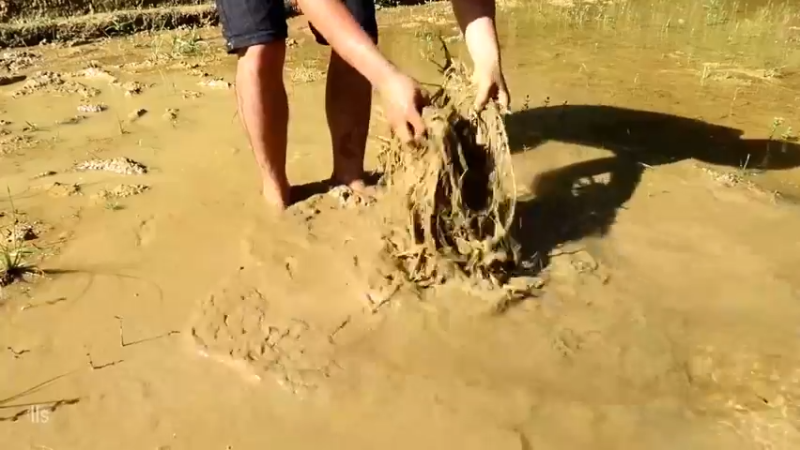 精剪回顾1号基地22水稻种植3【传统技术-真人我的世界-空手发展-单人炼铁】