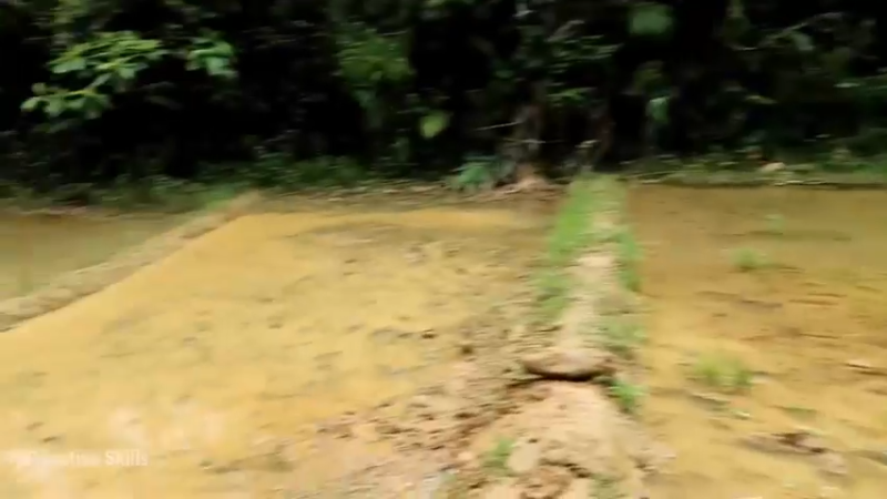 精剪回顾1号基地18育苗4【真人我的世界-空手发展-单人炼铁】